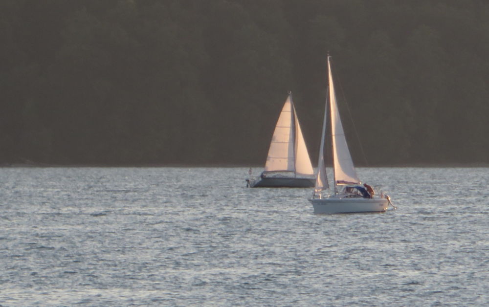 Überlingen: Segler in der Abendsonne (26.7.2018; Foto: Meyerbröker)