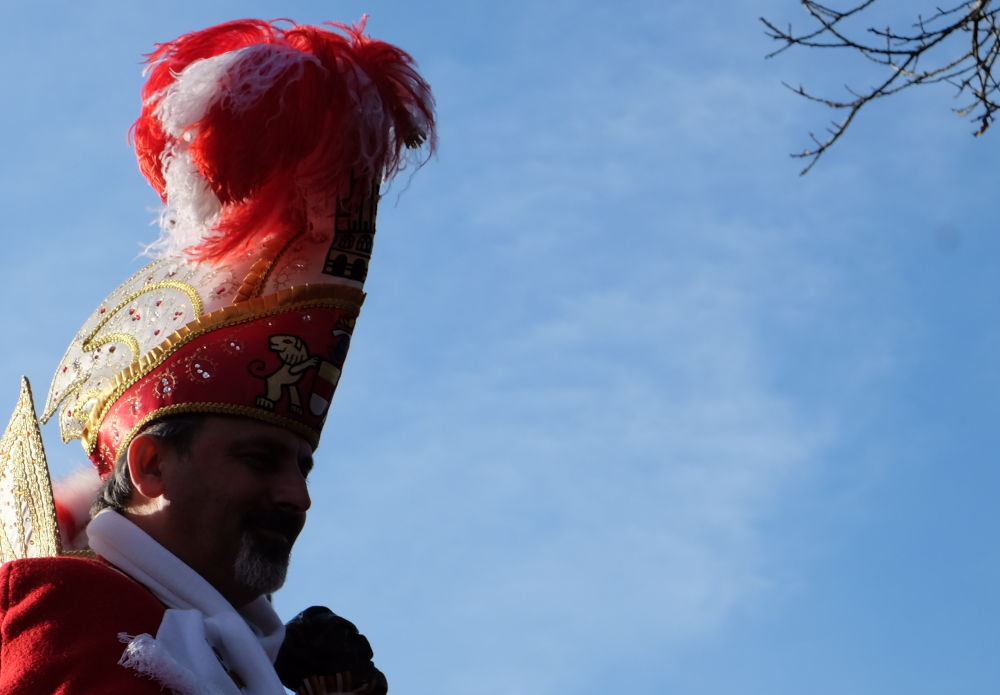 Karnevalsumzug 2019: Hoch auf dem bunten Wagen (23.2.2019; Foto: Klare)