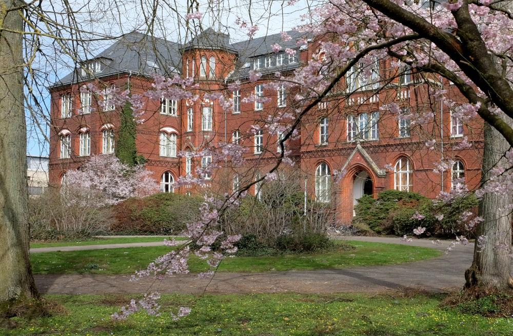 Frühlingsblüten im Park des alten Paterklosters (24.3.2019; Foto: Klare)