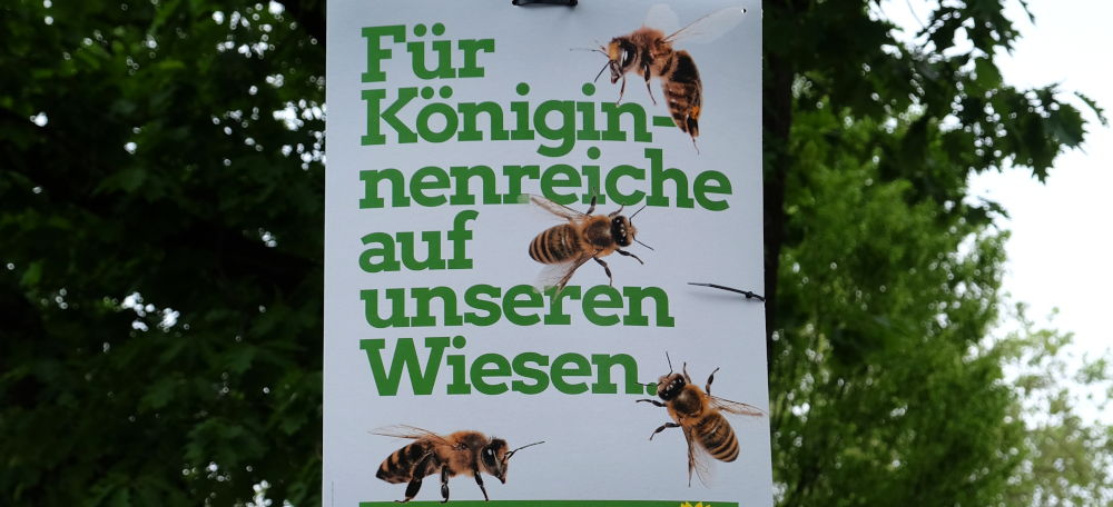 Europa-Wahlplakat der Grünen auf der Marktallee (26.5.2019; Foto: Klare)