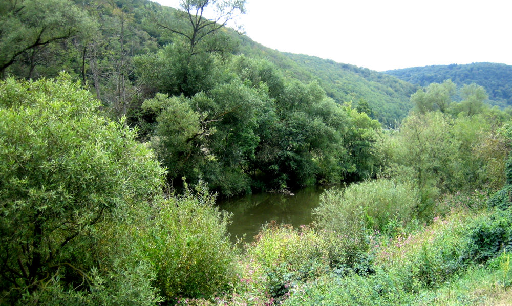 Blick auf die Nahe (9.9.2019; Foto: Klare)