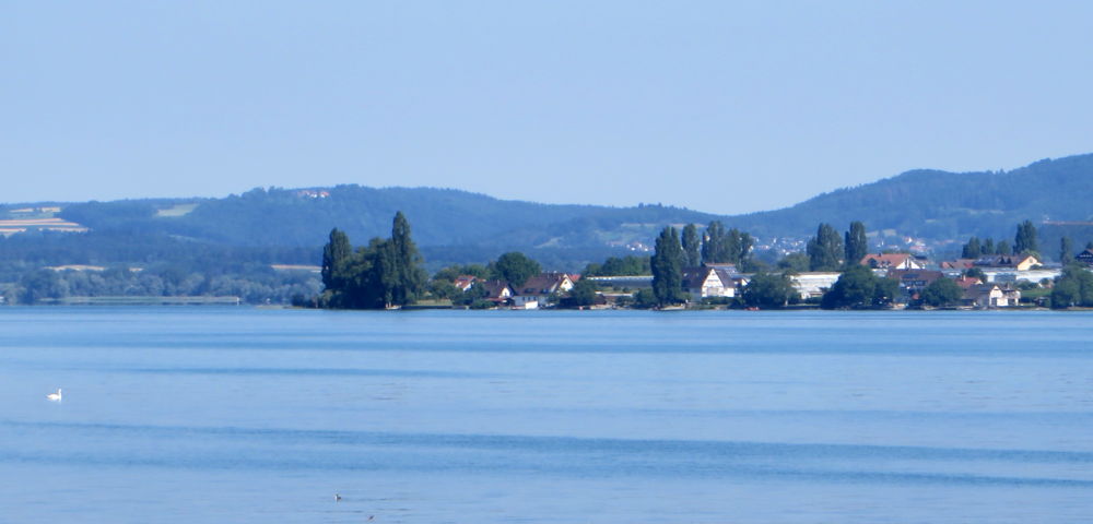 Die Reichenau (4.7.2019; Foto: Meyerbröker)