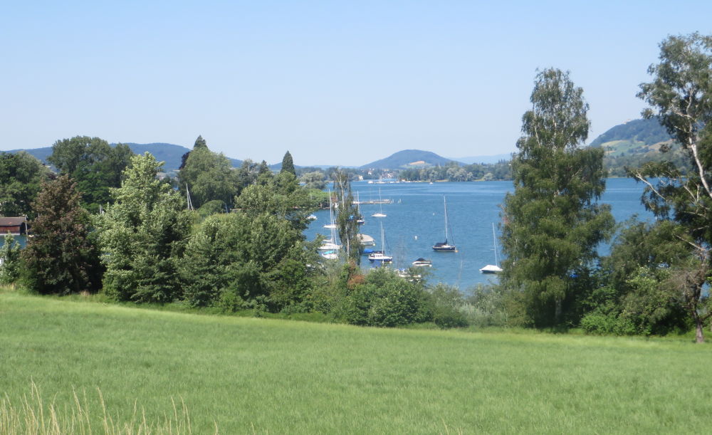 Rheinsee (4.7.2019; Foto: Meyerbröker)