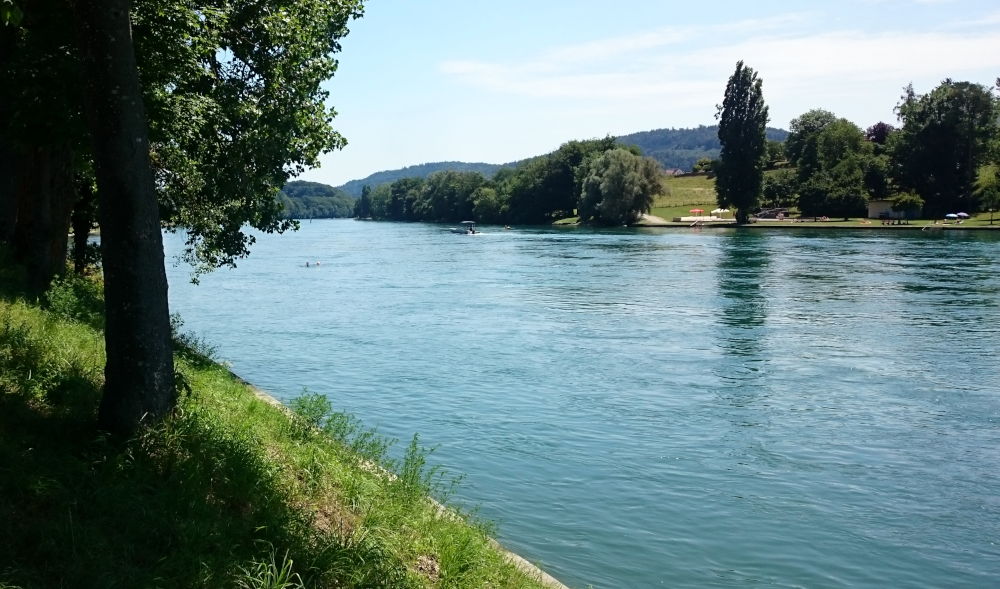 Rhein bei Diessenhofen (4.7.2019; Foto: Klare)