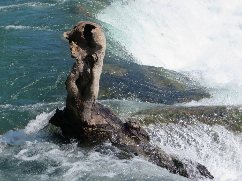 Rheinfall Schaffhausen (4.7.2019; Foto: Meyerbröker)