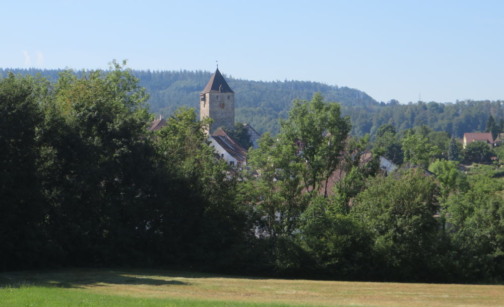 Der Obere Turm von Kaiserstuhl (5.7.2019; Foto: Meyerbröker)