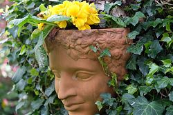 Die Frühlingsblumen leuchten: schönstes Osterwetter 2017 (16.4.2017; Foto: Klare)