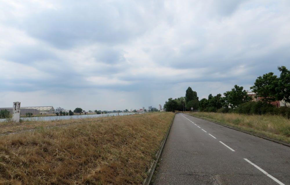 Am Rhein: Blick zurück zum Straßburger Hafen (12.7.2019; Foto: Meyerbröker)