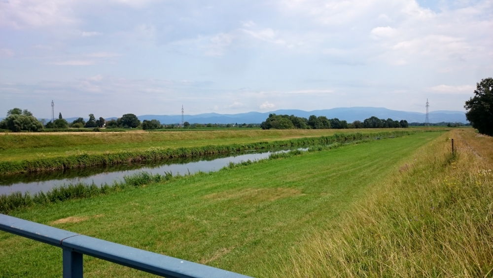 Rheinniederungskanal bei Freistett, im Hintergrund der Schwarzwald (12.7.2019; Foto: Klare)