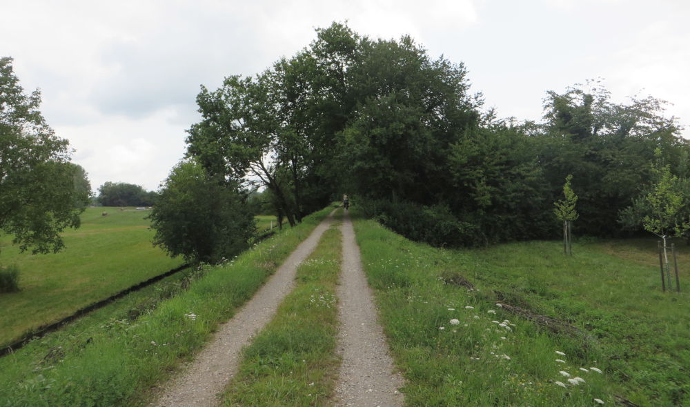 Auf dem Weg nach Karlsruhe (13.7.2019; Foto: Meyerbröker)