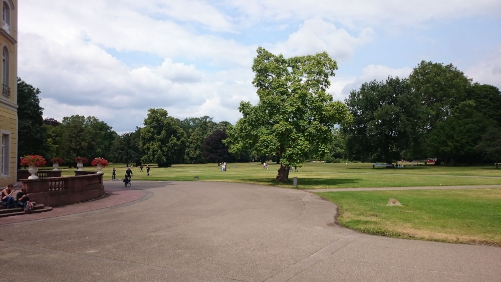 Schlossgarten Karlsruhe (13.7.2019; Foto: Klare)