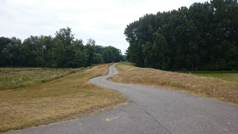 Auf dem Hochwasserdeich (13.7.2019; Foto: Klare)