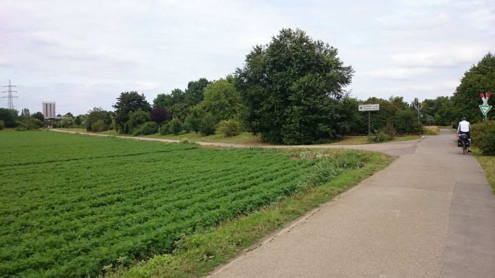 Landschaftsschutzgebiet bei Ludwigshafen (14.7.2019; Foto: Klare)