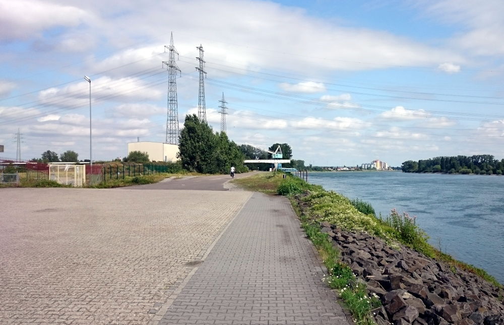 Rhein bei Worms (15.7.2019; Foto: Klare)