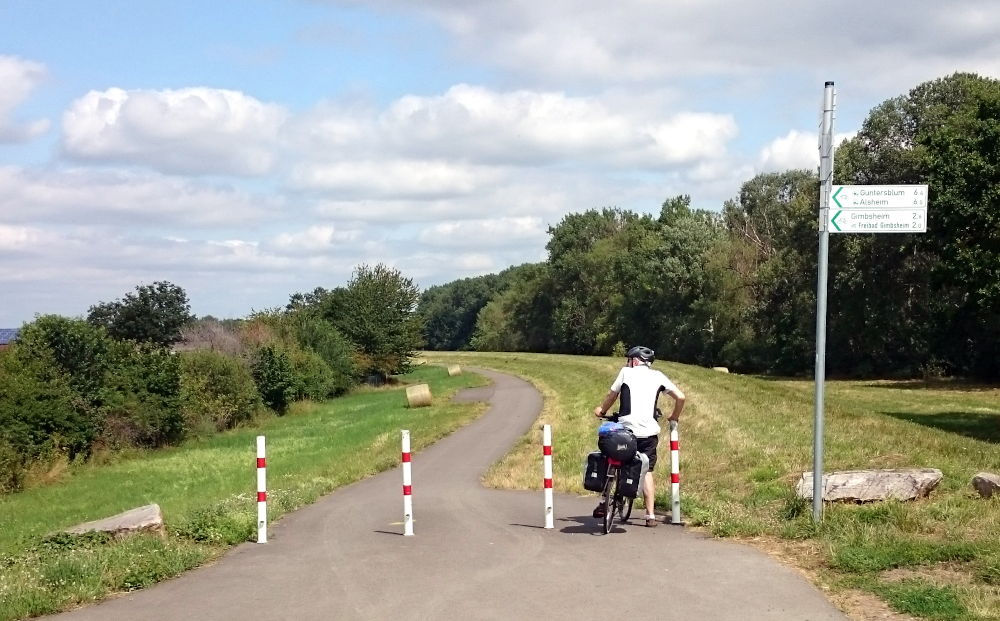 Im Westen liegt Guntersblum (15.7.2019; Foto: Klare)