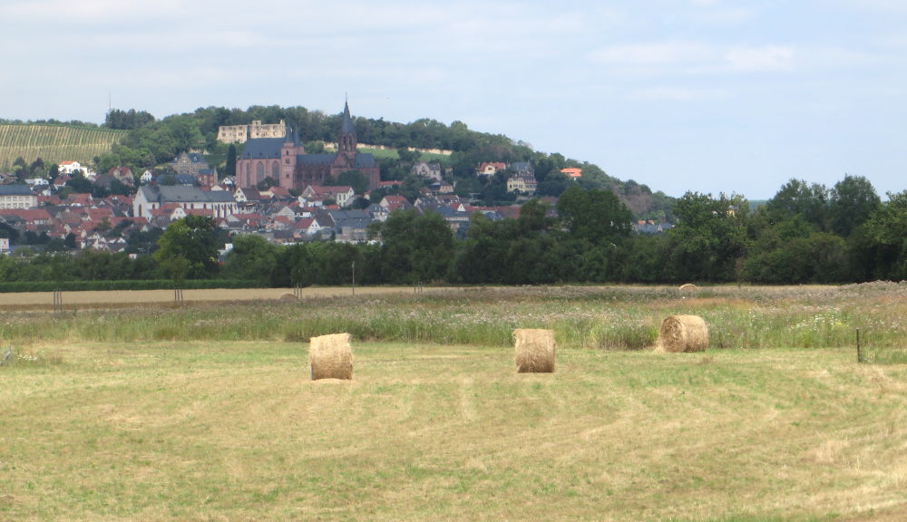 Oppenheim (15.7.2019; Foto: Meyerbröker)