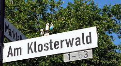 Was trägt das Korkmännchen in den Klosterwald? (6.8.2020; Foto: Henning Klare)