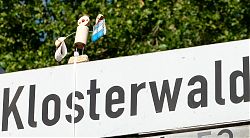 Hier kauf ein? (6.8.2020; Foto: Klare)