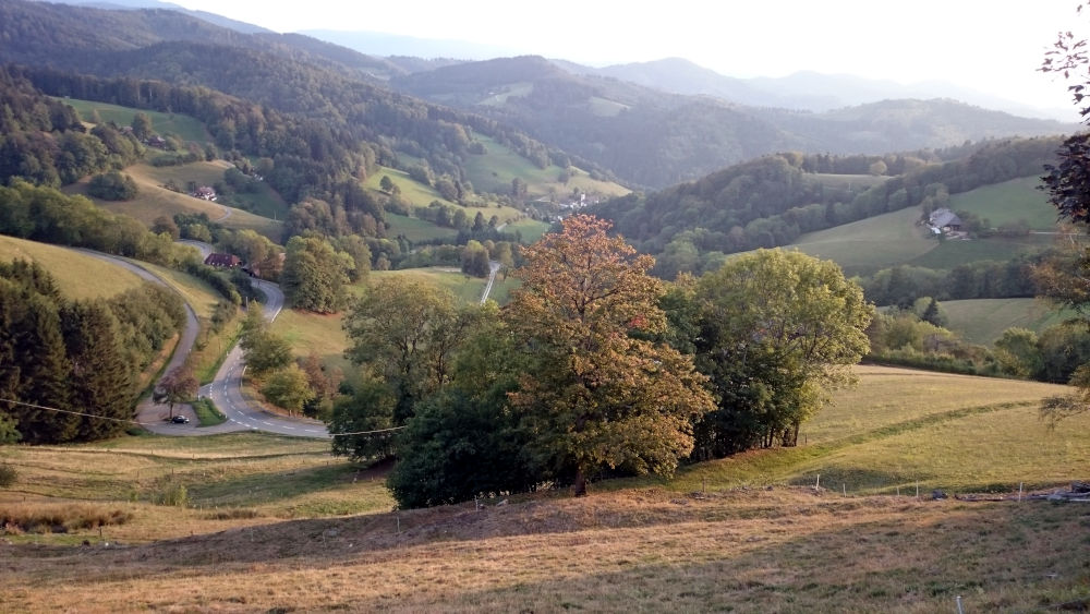 Blick vom Gerstenhalmstüble über St. Ulrich (21.9.2020; Foto: Henning Klare)