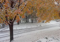 Buntes Laub und Schnee (Boston, 30.10.2020)