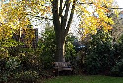 Eine Einladung (15.11.2020; Foto: Henning Klare)