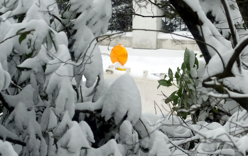 Signal im Schnee (7.2.2021; Foto: Klare)