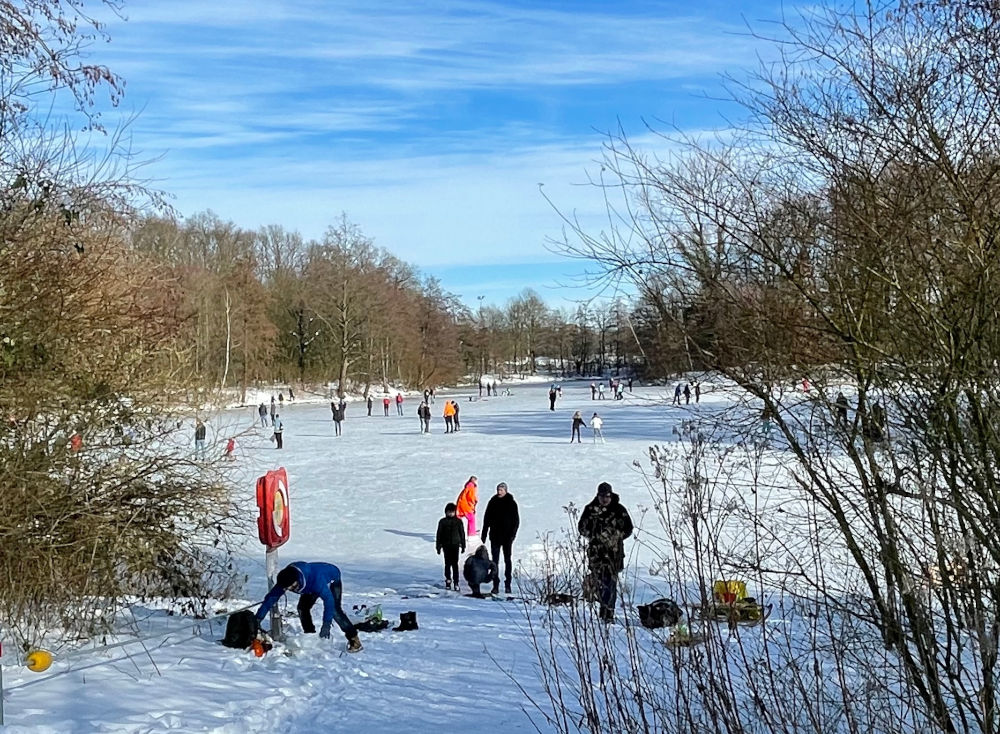 Lebhafter Betrieb auf dem zugefrorenen Oedingteich (14.2.2021; Foto: Henning Klare)