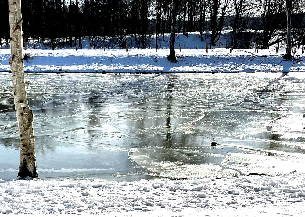 Eis auf der alten Fahrt des Kanals (14.2.2021; Foto: Henning Klare)