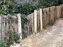 Durch von MSV Immobilien GmbH veranlasste Bauarbeiten zerstört, Ersatz verweigert (3.3.2021; Foto: Henning Klare)