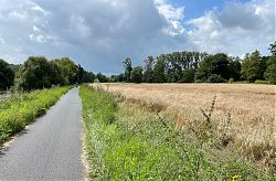 Bei Grosbliederstroff: Links die Saar, rechts Felder (8.8.2021; Foto: Henning Klare)