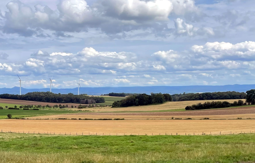 Igney: Blick nach Osten zu den Vogesen (9.8.2021; Foto: Henning Klare)