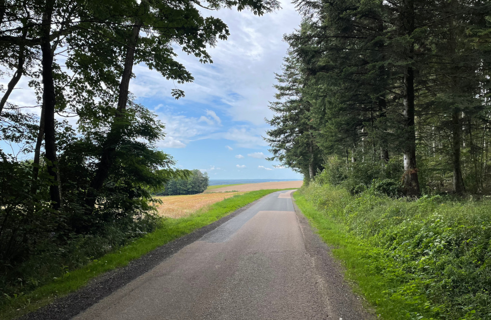 Auf schmalem Sträßchen nach Bazien (10.8.2021; Foto: Henning Klare)