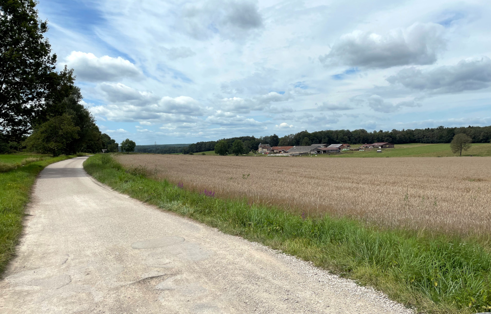 Bauernhof vor Rambervillers (10.8.2021; Foto: Henning Klare)