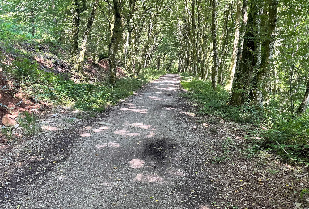 Google weiß den Weg nach Champagney (12.8.2021; Foto: Henning Klare)