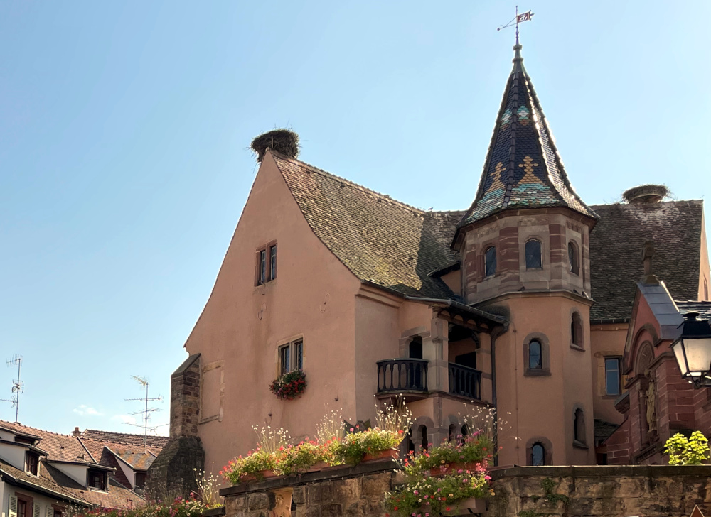 Auch die Burg trägt Storchennester (14.8.2021; Foto: Henning Klare)