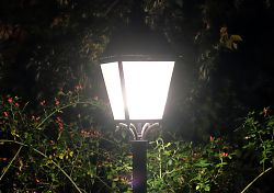 Mondschein und Laternenlicht (1.10.2021; Foto: Henning Klare)