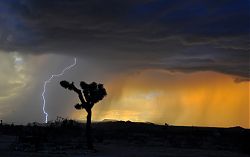Desert Electric (16.10.2015; Foto: Jessie Eastland unter Creative Commons 4.0 international)
