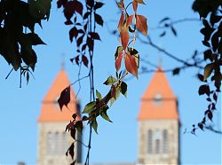 St. Clemens, vom Wein bunt bekränzt (8.10.2021; Foto: Henning Klare)