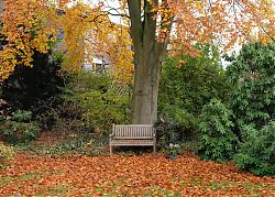 18.11.2021 (Foto: Henning Klare)