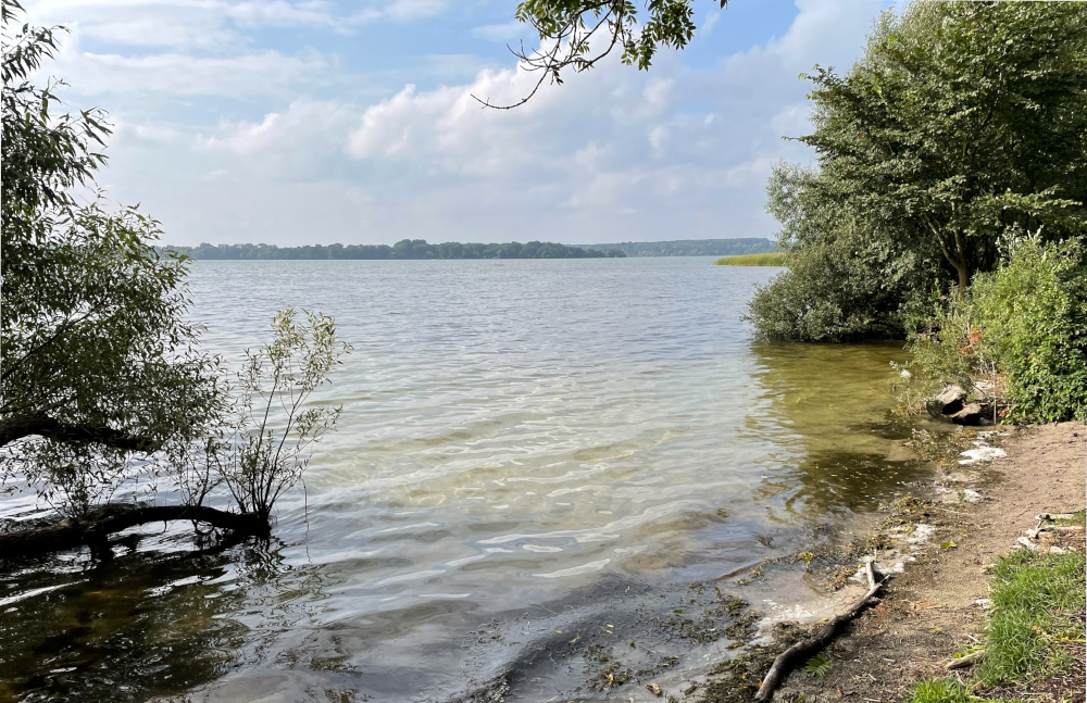 Schweriner See bei Flessenow (11.9.2021; Foto: Henning Klare)