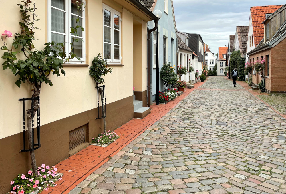 Schleswiger Altstadt: Rosen, Farben, kleine Häuschen (18.9.2021; Foto: Henning Klare)