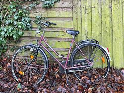 Jahreszeiten. Installation der freien Hiltruper Kunstszene (22.1.2022; Foto: Henning Klare)