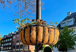 Hiltrup, Marktallee: Blumenampel vor dem Restaurant Nikos (6.10.2022; Foto: Henning Klare)