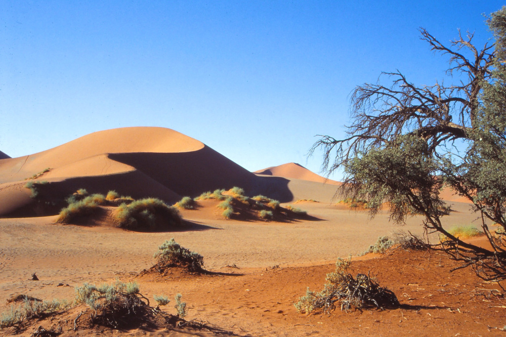 Namibia: Das Sossusvlei im Namib-Naukluft-Nationalpark (1993; Foto: Karl-Heinz Winter)