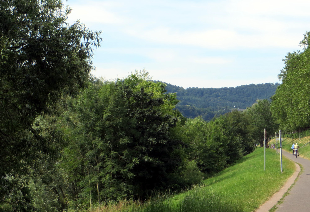 Die ersten Kilometer: Moselaufwärts bis zur Saar (17.6.2015; Foto: Klaus Meyerbröker)