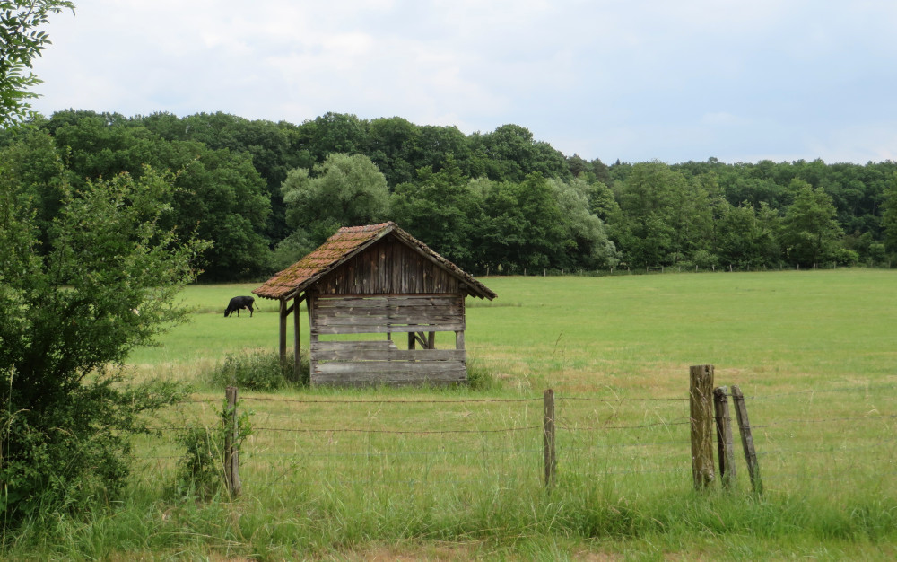 Am Canal des huillères de la Sarre vor Mittersheim (19.6.2015; Foto: Klaus Meyerbröker)