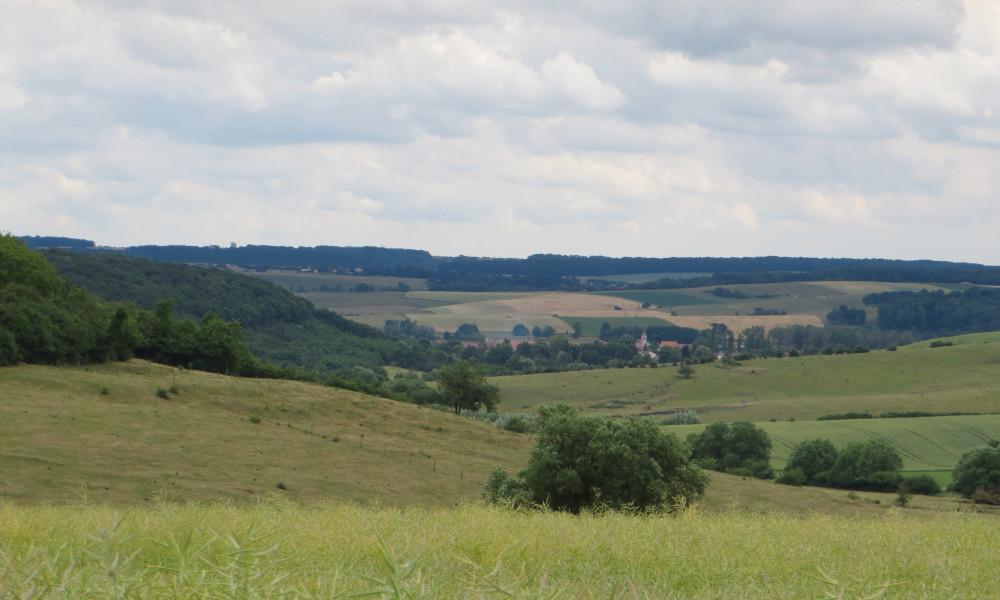 Nicht nur Salz, sondern auch viele Hügel im Saulnois (20.6.2015; Foto: Klaus Meyerbröker)