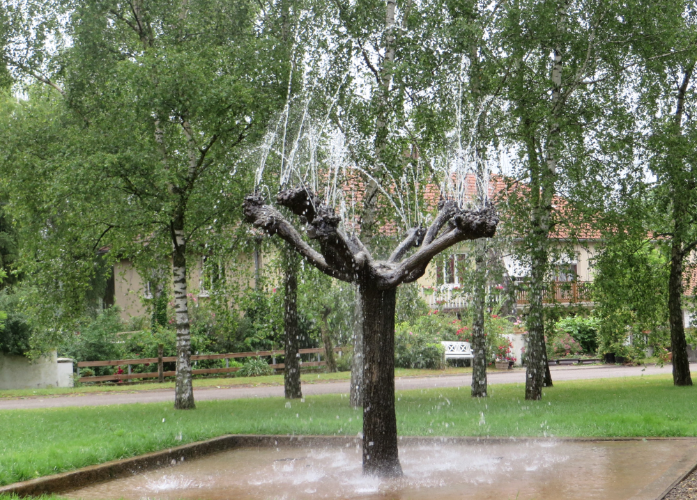 Wässerige Blüten (Delme, 21.6.2015; Foto: Klaus Meyerbröker)