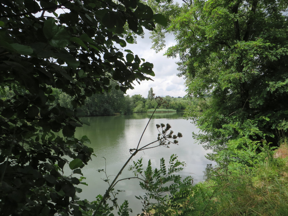 Die Mosel bei Corny-sur-Moselle (21.6.2015; Foto: Klaus Meyerbröker)