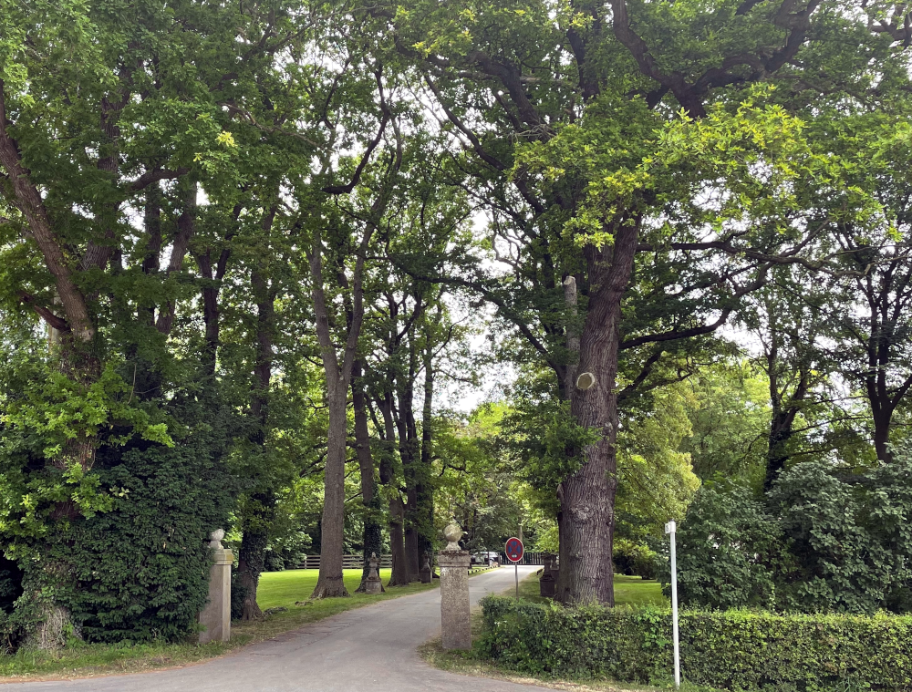 Einfahrt zu Haus Itlingen (18.6.2023; Foto: Henning Klare)